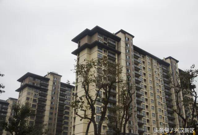 惊！安置区这么美，原来出自他们之手！