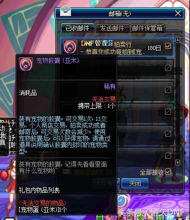 dnf亚米和金钱兔,dnf亚米为什么不捡金币