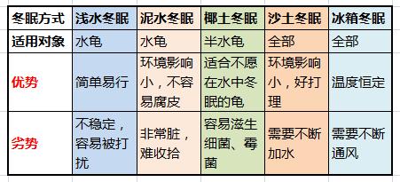 龟类冬眠方法技巧全面指南,各种龟类的冬眠方法