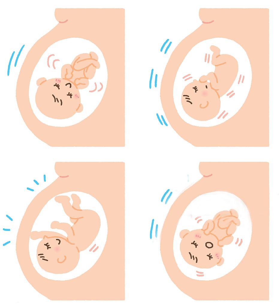 胎儿突然不怎么爱动是什么原因呢,胎儿突然不怎么动肚子发硬
