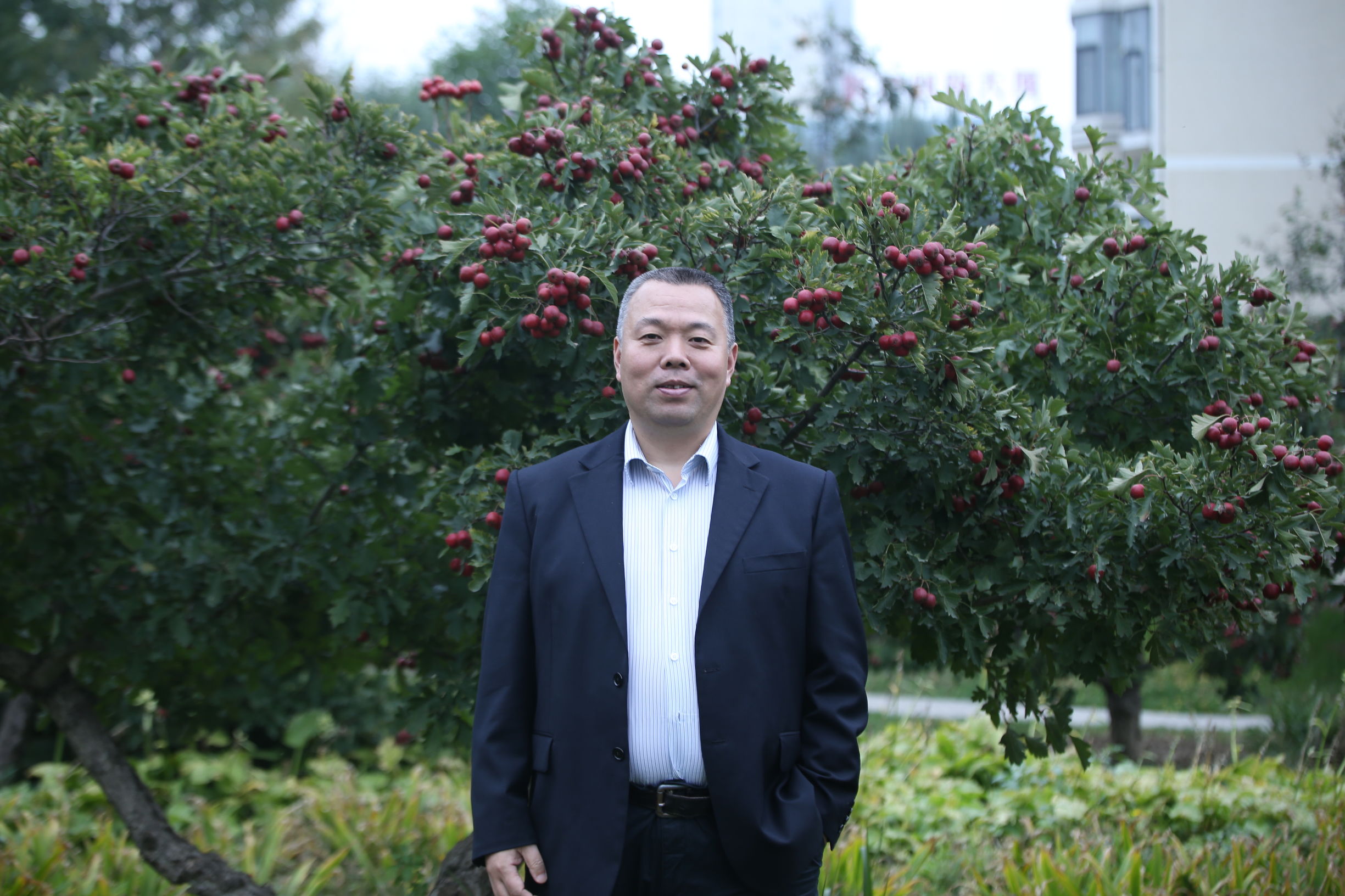 这本小说厉害了！圈内人出书讲述中国足球假赌黑的内情