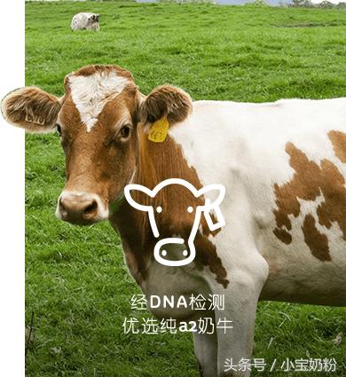 疯抢A*奶2**粉前，请先来一波科普