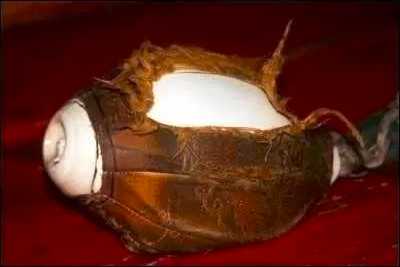 阿底峡尊者随身佛塔,阿底峡尊者藏语