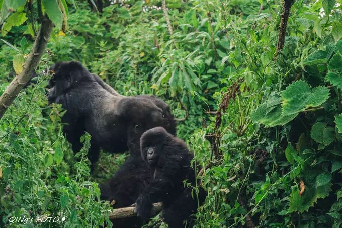 750块钱可以干什么,750块钱能干什么
