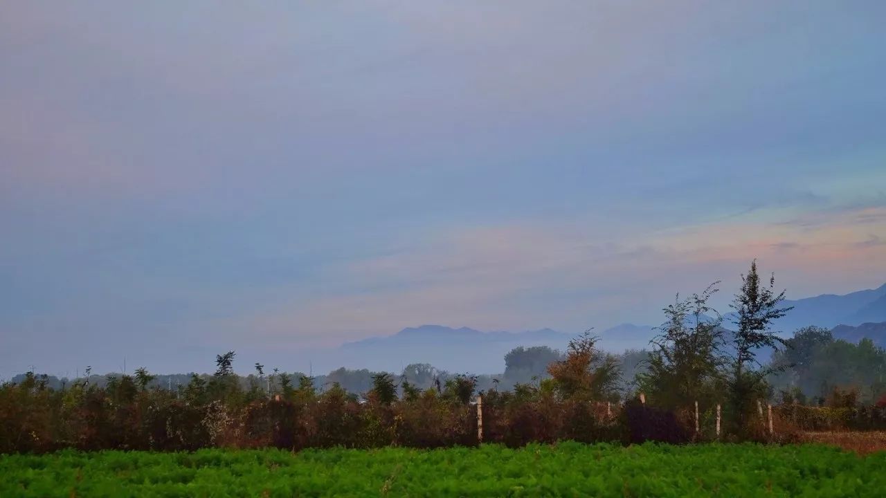 一场秋宴是清欢/农场餐桌之慈心秋宴纪实Farm-to-Table