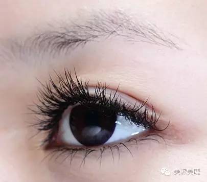 为什么嫁接的睫毛太翘不自然,嫁接的睫毛为什么总是不舒服
