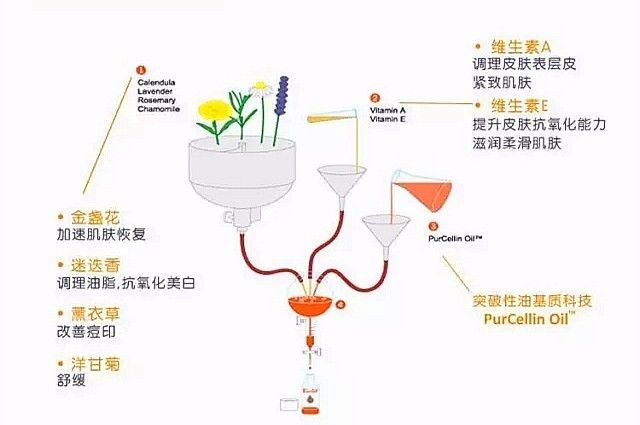 深扒“网红”神油,8周改善妊娠纹和疤痕~