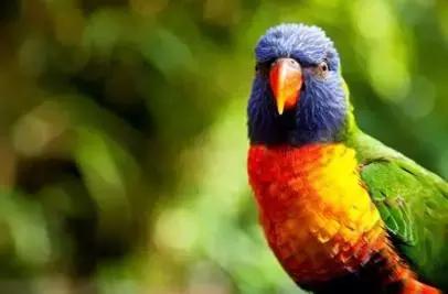 和自己的爱人独享一片世外桃源，两个精灵相伴！讲一个童话故事