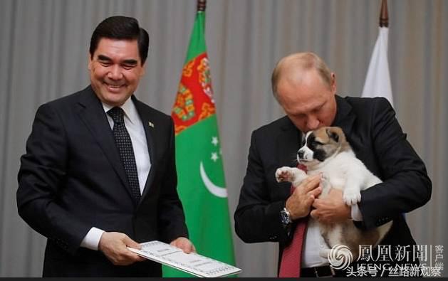 普京萌犬,普京再次喜提萌犬