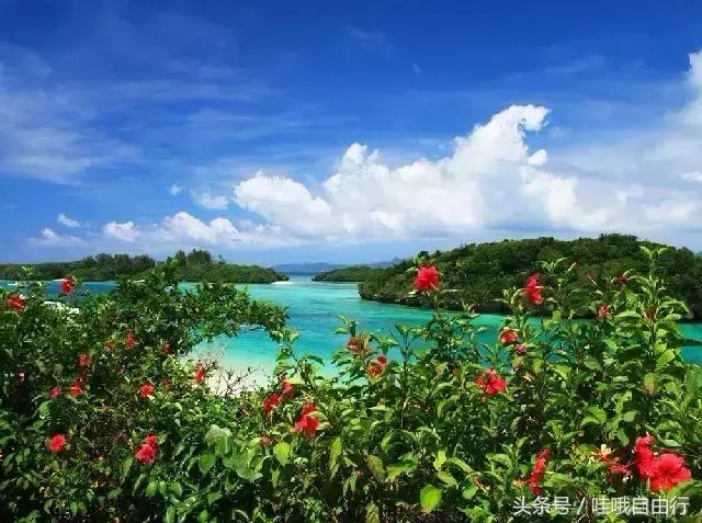 日本九州有哪些旅游景点,日本九州和本州哪里好玩