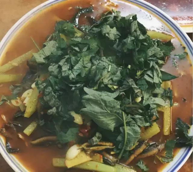 定居泸州怎么样,泸州定居