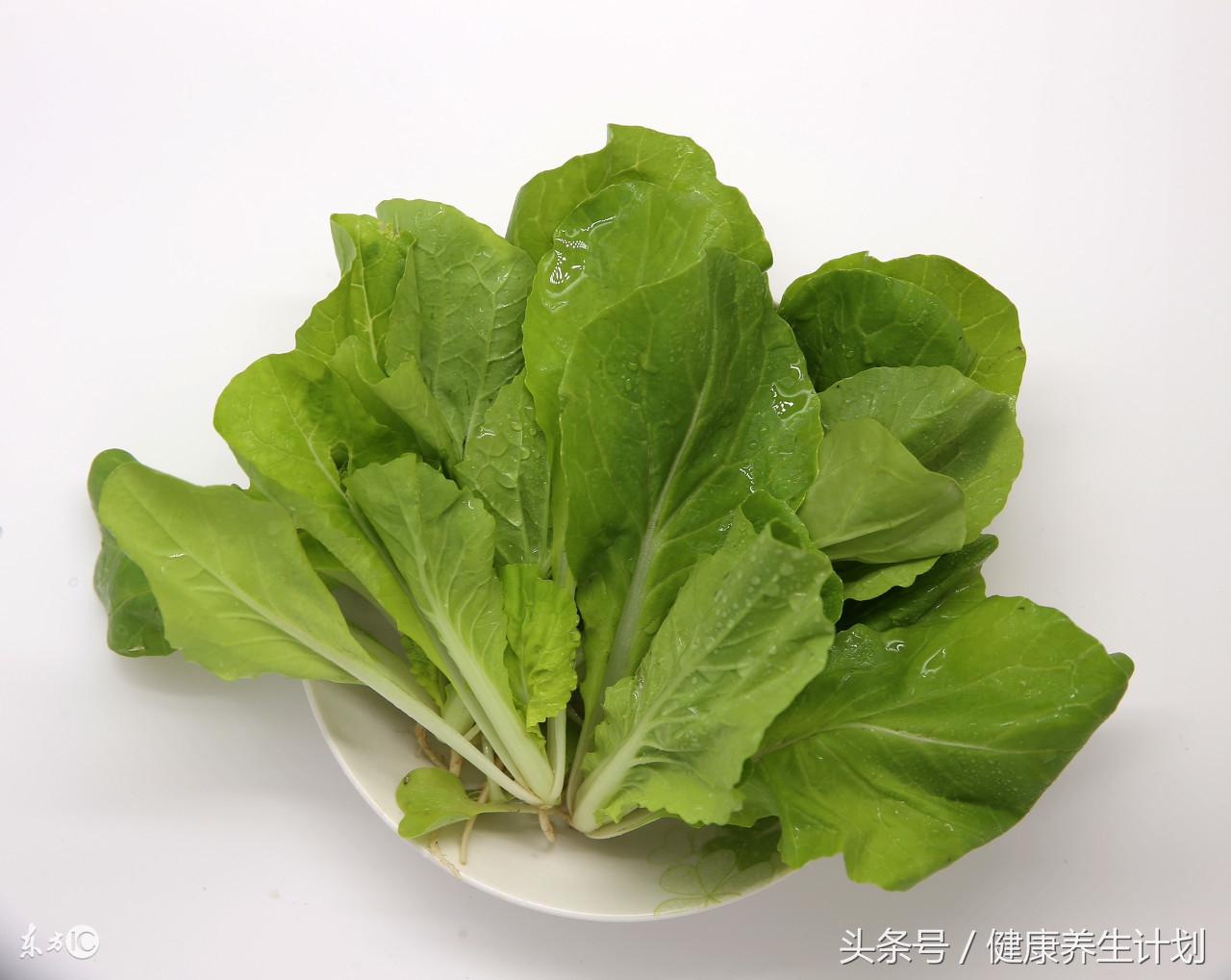 百菜不如白菜，白菜应该怎么吃，它的营养价值怎么样