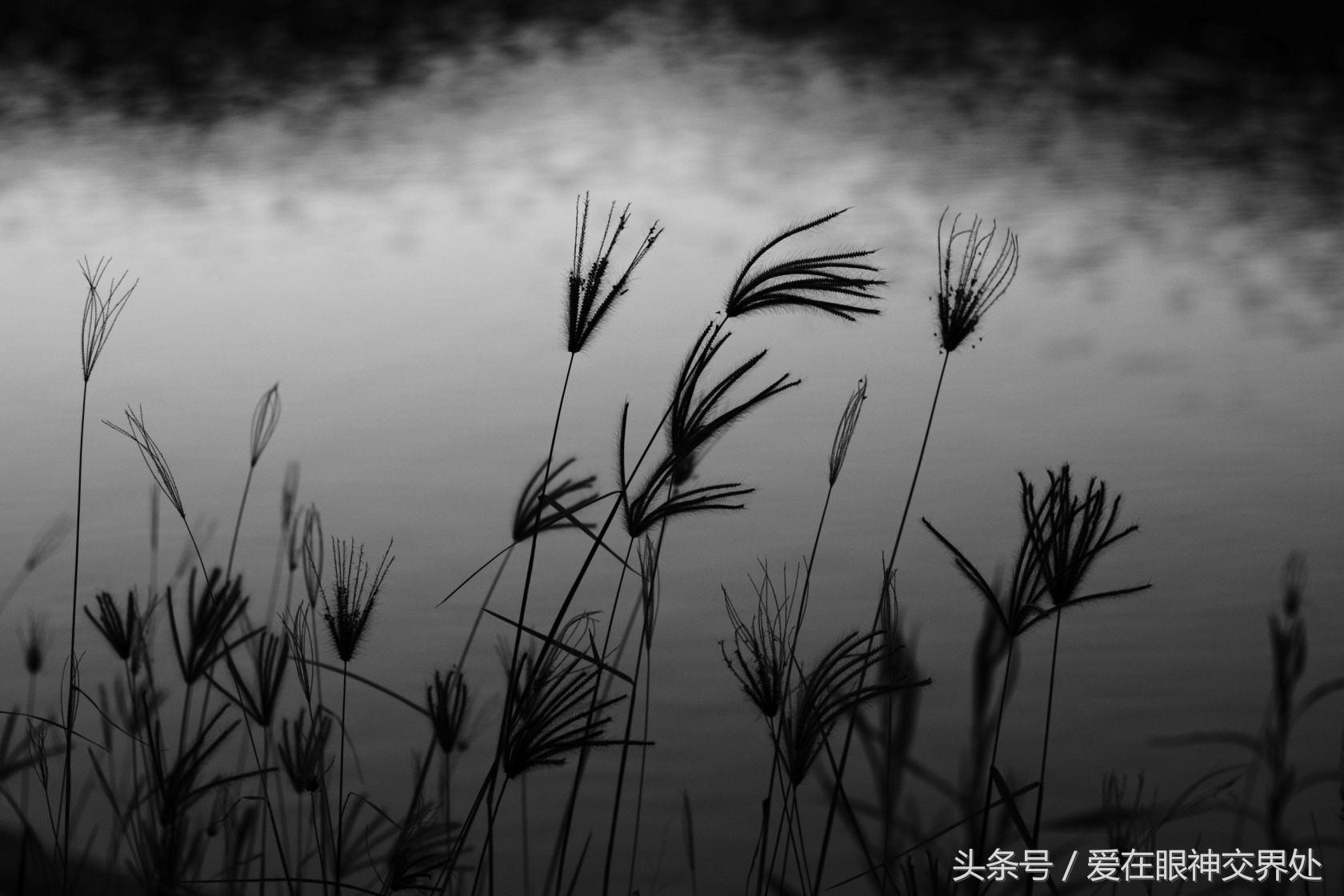 成都军大心理门诊怎么样,成都军大医院心理科住院