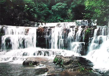 横县最美的茉莉小镇,中国茉莉之乡标志