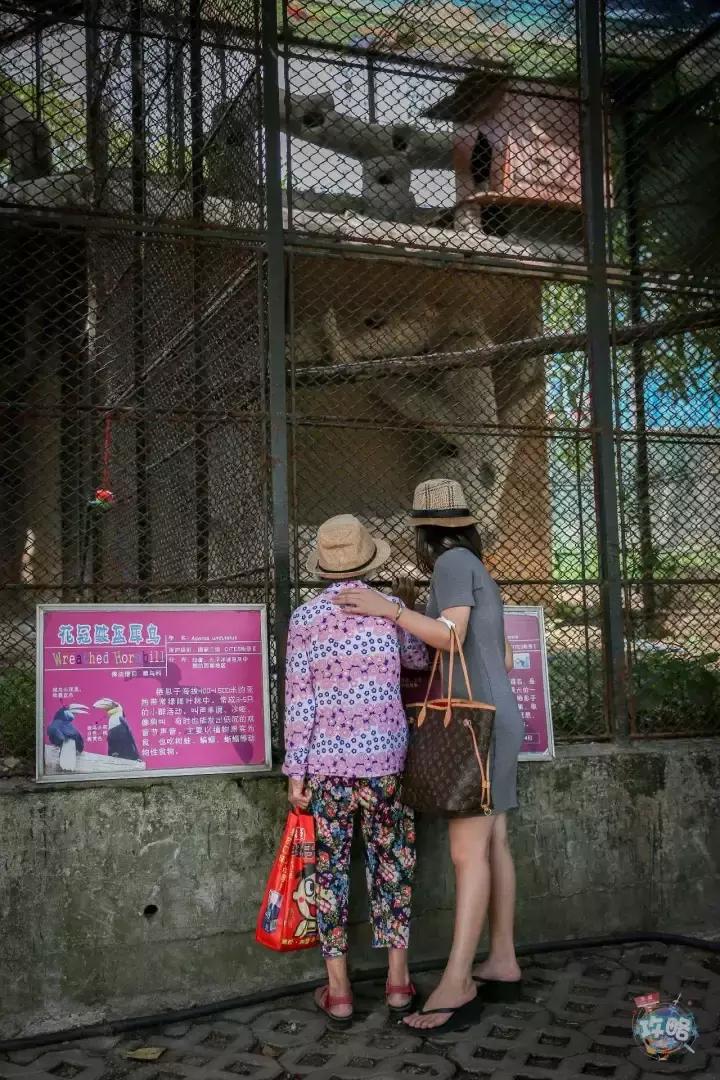 广州动物园的地图,广州动物园下一站去哪里