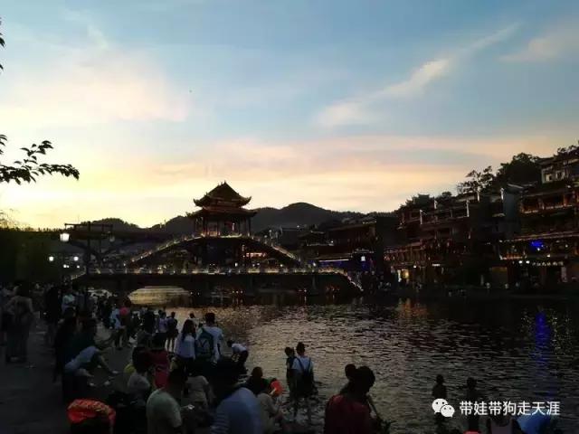 开着房车去遛娃,开着房车带狗狗出去玩