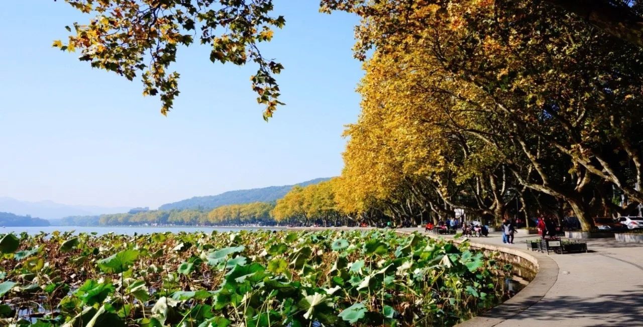 玩转西湖杭州,玩转西湖