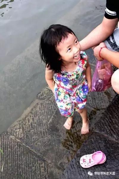 开着房车去遛娃,开着房车带狗狗出去玩