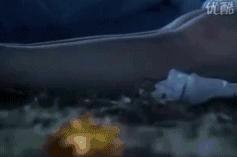 江华罗嘉良吕颂贤温兆伦谁帅,吕颂贤江华综艺