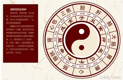 静功导引|《服气精义论》九篇,接地气的修习法,看了就能做