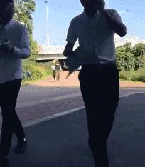 gif：孩子们，你们想知道第一个人是怎样出现的吗？