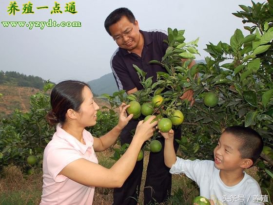 适合农村小本创业项目小型加工厂,利润很吓人10个冷门创业项目农村