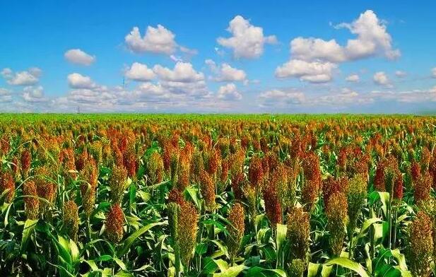 新村不是村，让胡路也不是路，大庆的这些秘密，有人不一定知道