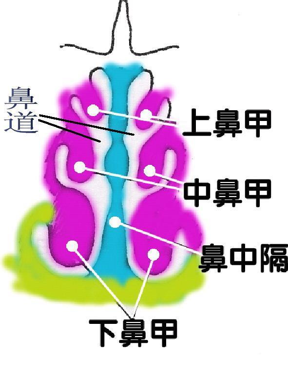 宝宝缓解鼻塞最有效的方法,宝宝鼻塞小妙招宝妈视频