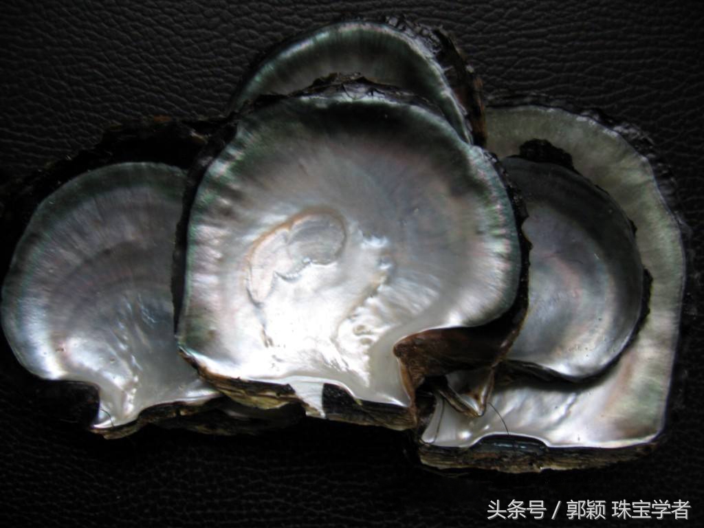 娴锋磱閲岀殑鍚勭缇庡懗铻冭煿,灏忕簿鐏靛悆铻冭煿