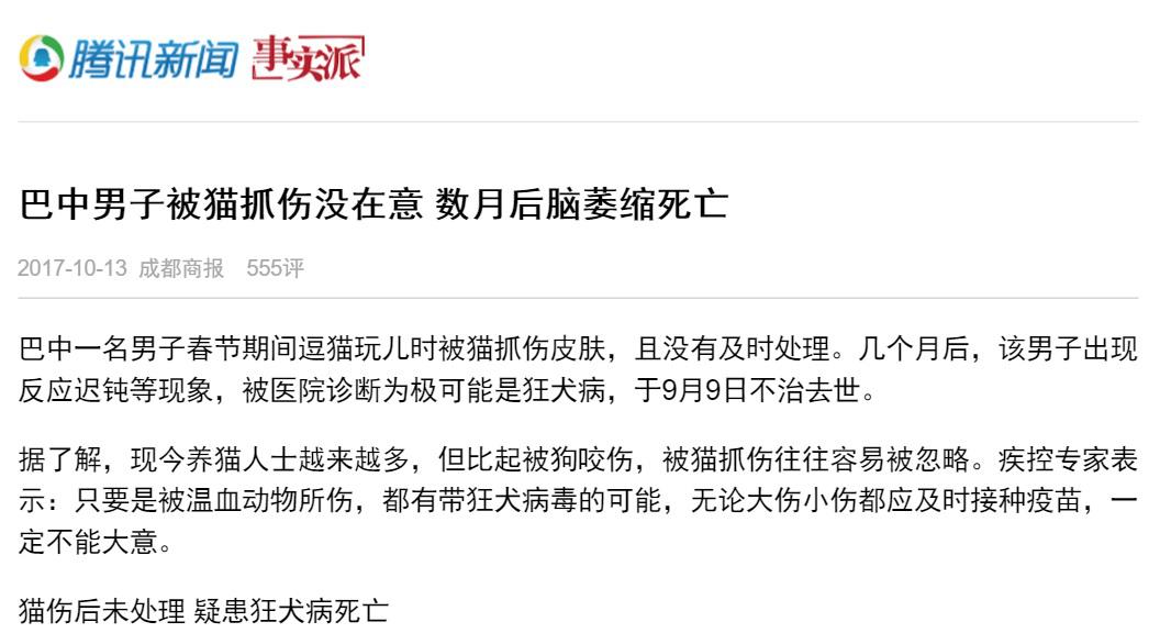 猫主子被抓伤,猫主子抓伤怎么办