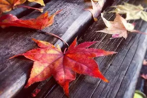 徐霞客来华山游记是哪一年,徐霞客对华山的评价