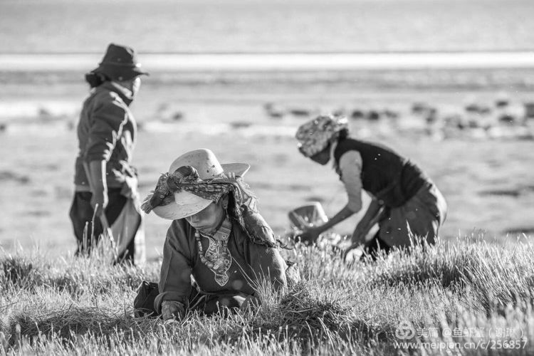 只要能去*藏西**,头痛高反什么的都不care