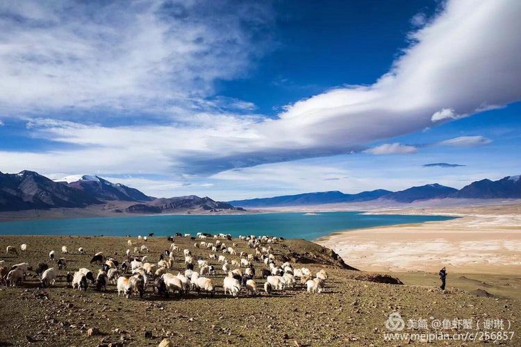 只要能去*藏西**,头痛高反什么的都不care