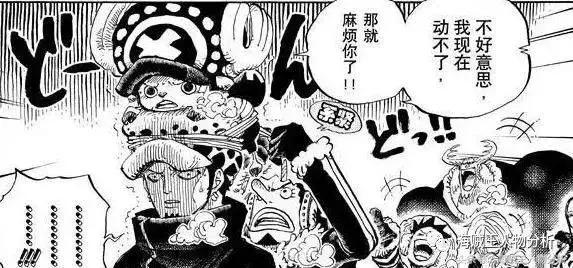 海贼王特拉法尔加罗最强一击,海贼王特拉法尔加罗简介