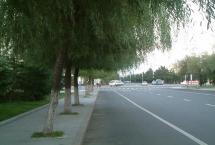 北方最干净的城市,北方环境最好的城市