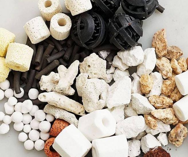 纯净水养草缸,怎么让生态缸的水更清