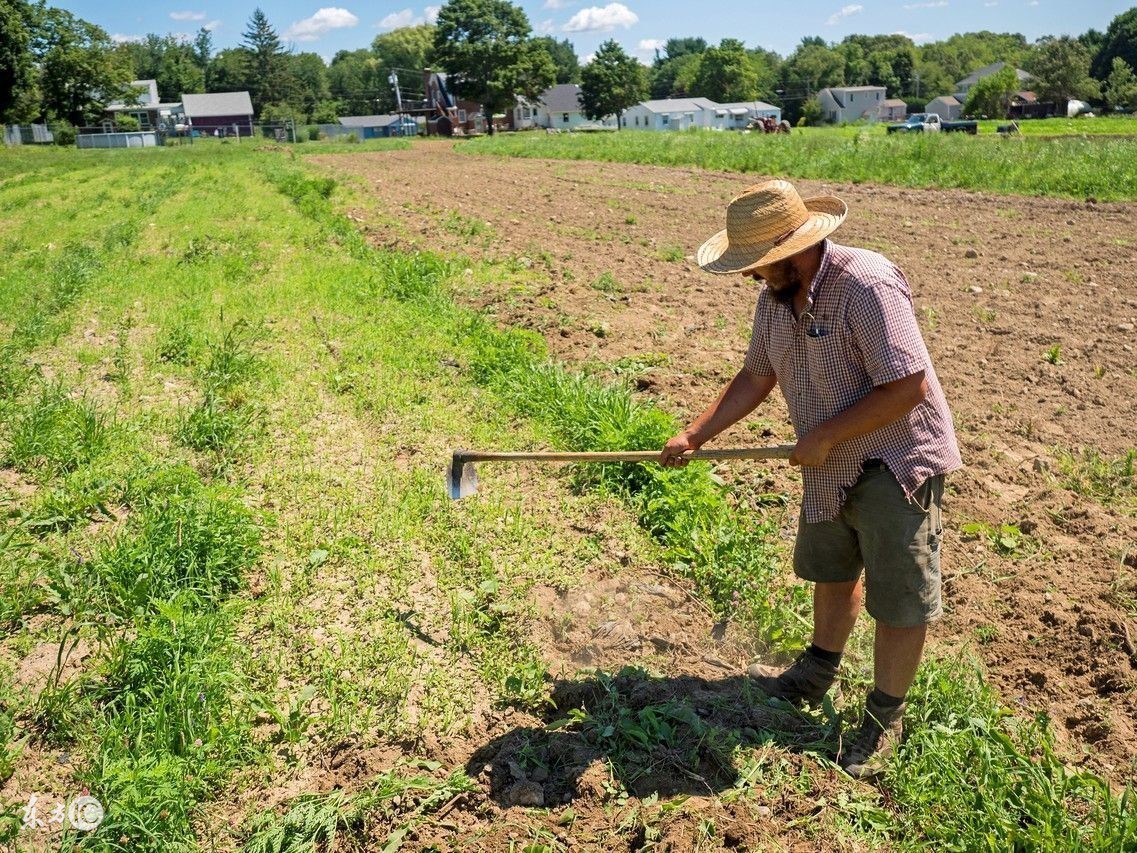 二轮土地承包是到2025年还是2027年,农村土地二轮承包到期怎么办