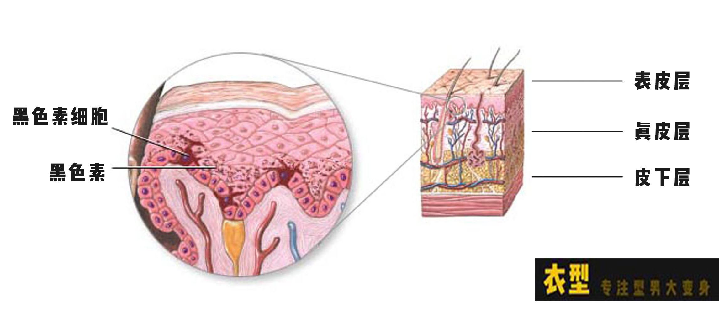 男生变白简易教程,简单三步让男生变白