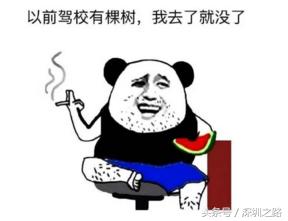 深圳驾校名称大全,深圳驾校有哪些项目