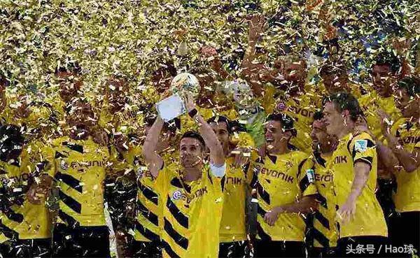 蜜蜂战斗大黄蜂,大黄蜂与蜜蜂的激烈战斗