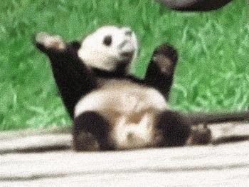 据说只要看到这双“雪地靴”，姑娘们都会挪不动脚！