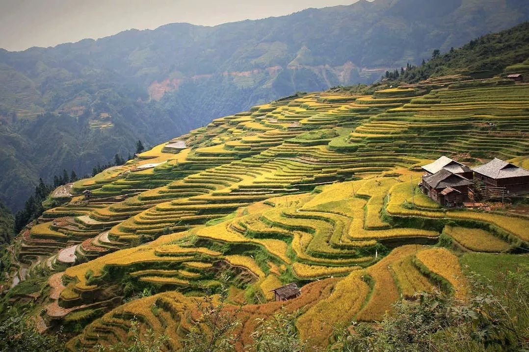 北方已经初冬了，贵州的这些地方秋意正浓，现在去正当时！