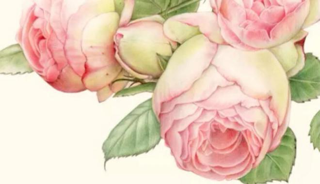 多囊怎么调理能怀孕,多囊患者想好孕这点一定要做到