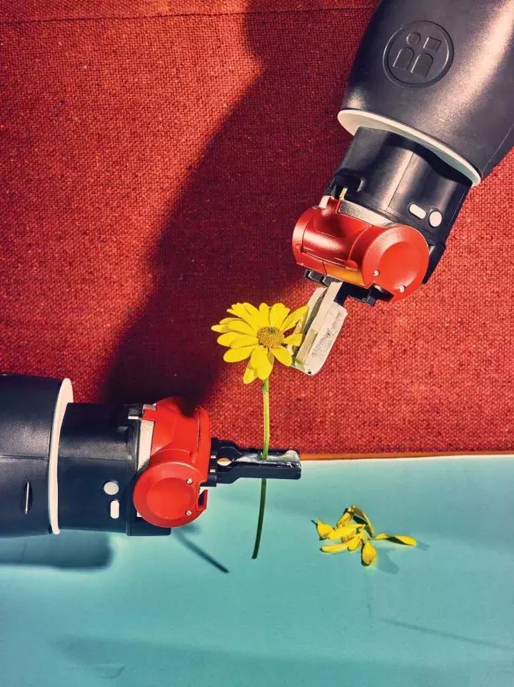 纽约客的封面是什么,纽约客的故事书