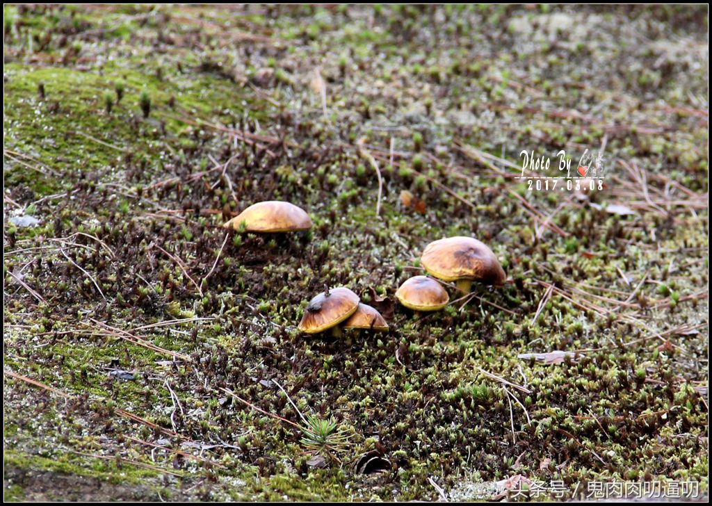 日本第一站飞大阪还是飞东京好,来日本第一个景点