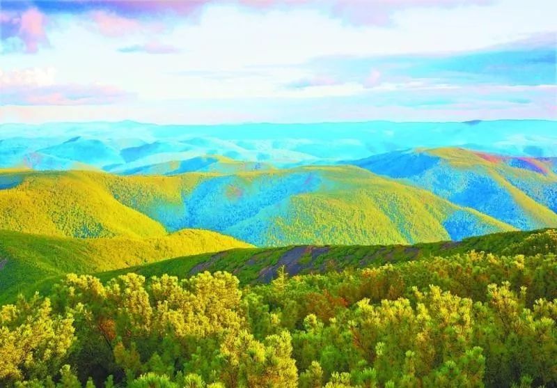 对不起我要去学校了模板,对不起我要去天津了