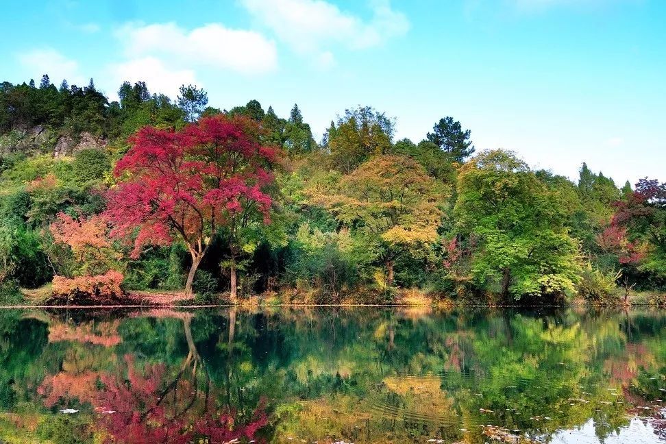 北方已经初冬了，贵州的这些地方秋意正浓，现在去正当时！