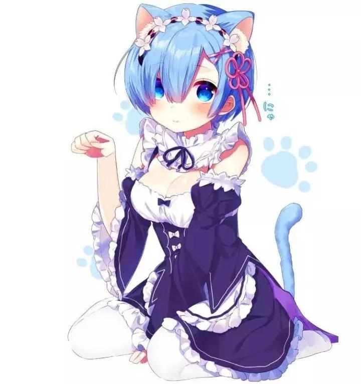 剑与远征爱蜜莉亚和雷姆,爱蜜莉亚和雷姆