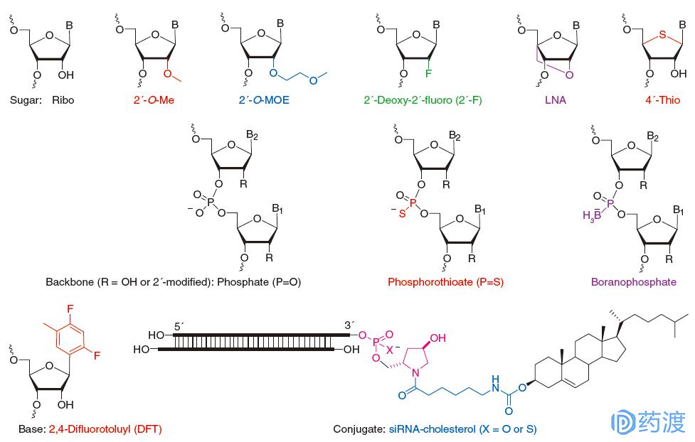 rna药物研发的公司,rna药物和蛋白药物