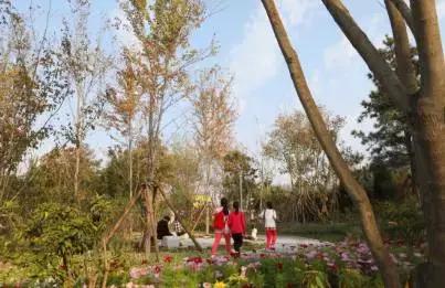 幸福像在花园一样，西城的城市客厅，邀请您常来走走停停